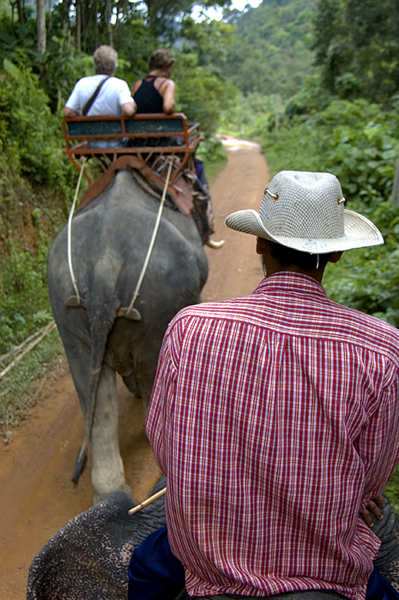 Elephant Riding