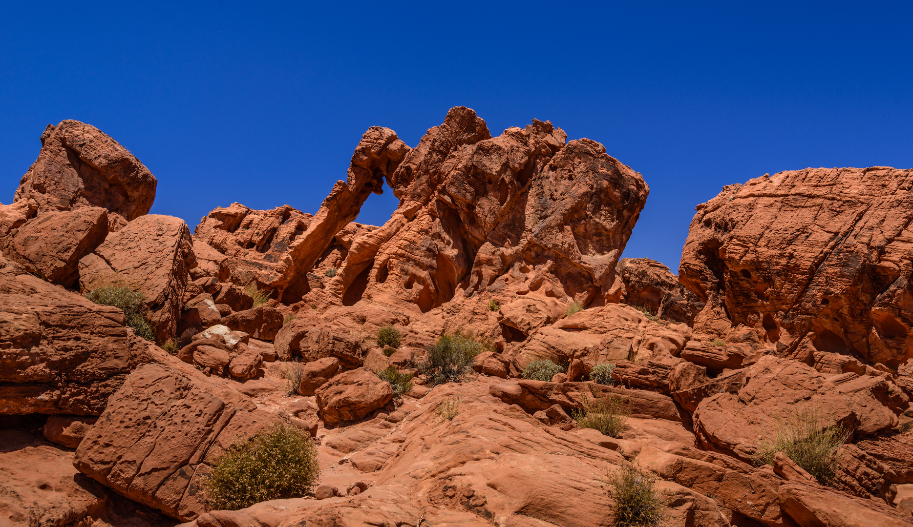 Elephant Rock 1, Valley of Fire, Nevada, USA