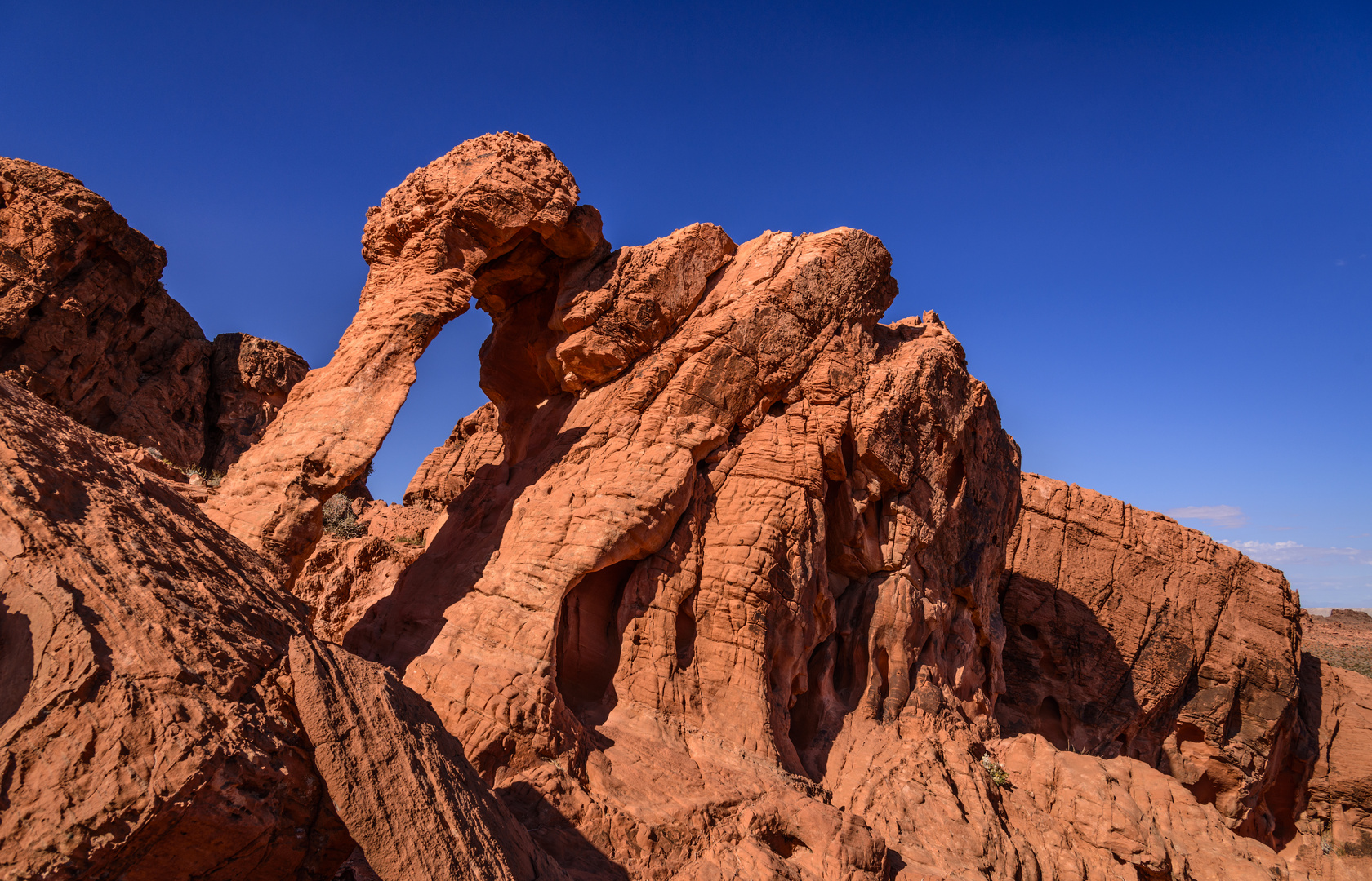 Elephant Rock 2, Valley of Fire SP, Nevada, USA