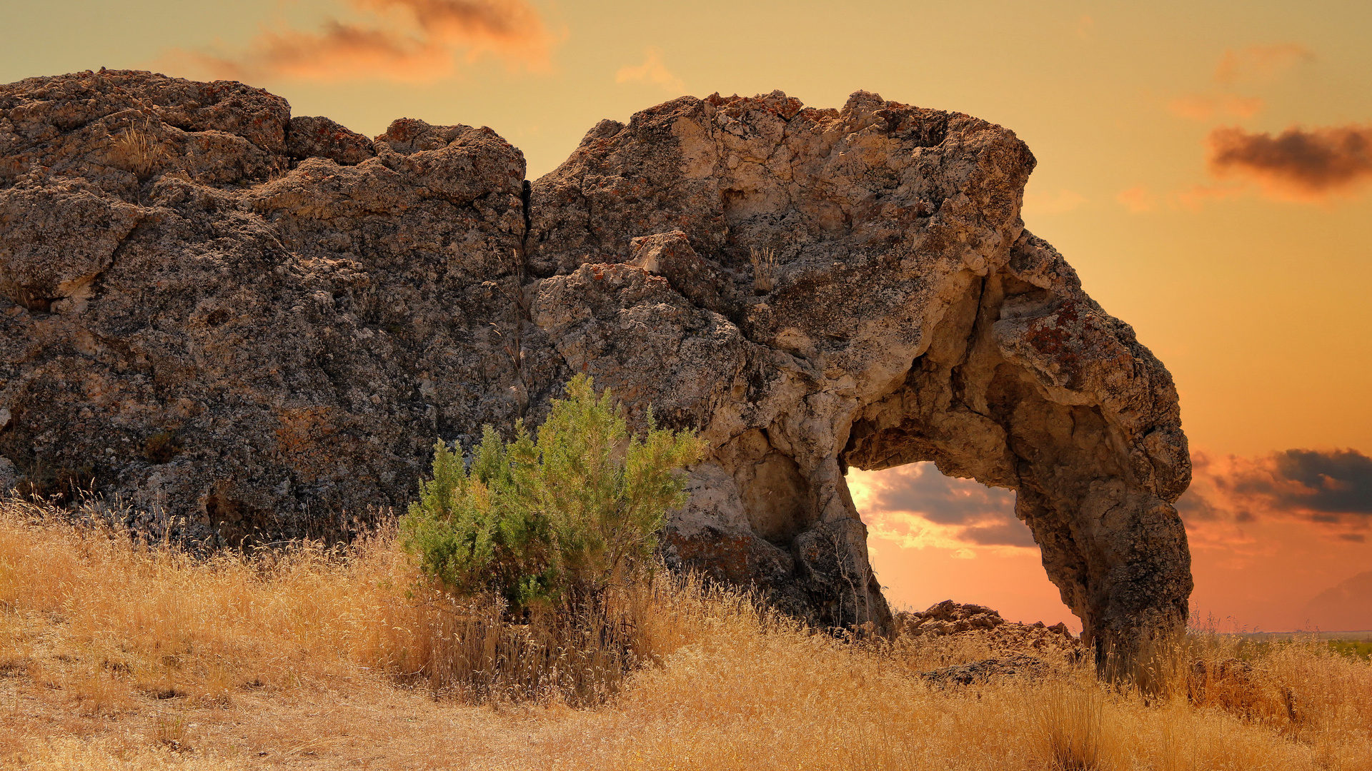 Elephant Rock