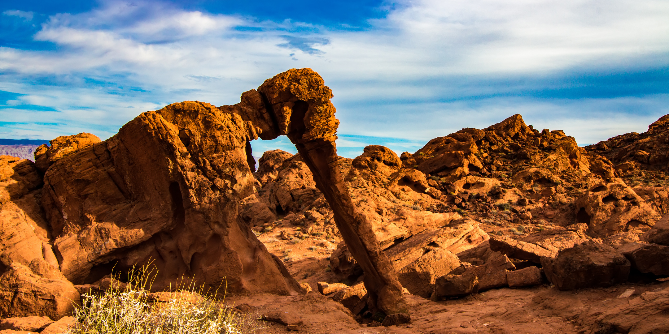 elephant rock