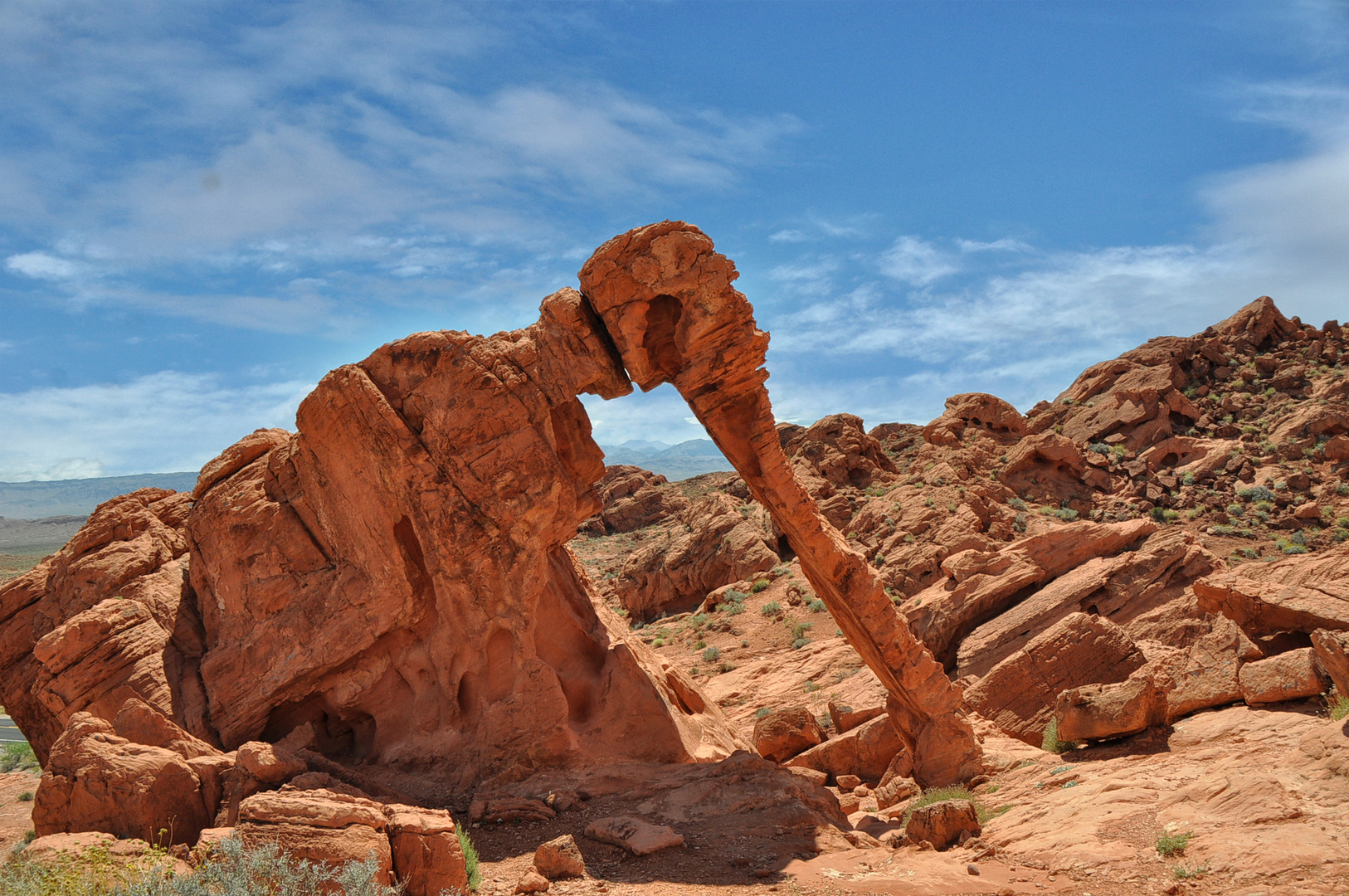 Elephant Rock