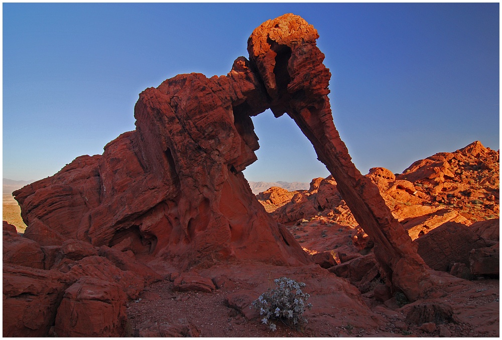 Elephant Rock