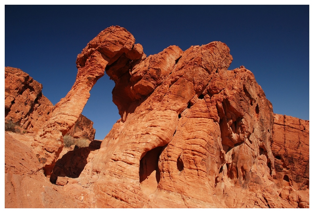 Elephant Rock (Valley of Fire/ Nevada)