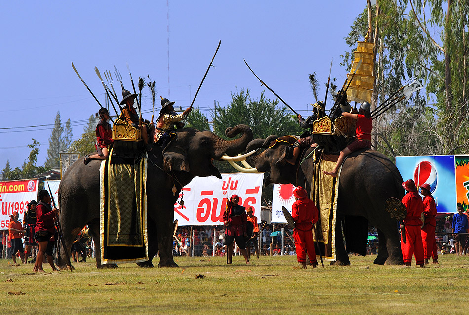 Elephant Roundup III