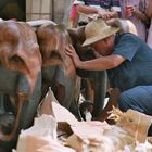 Elephant seller in Bankok