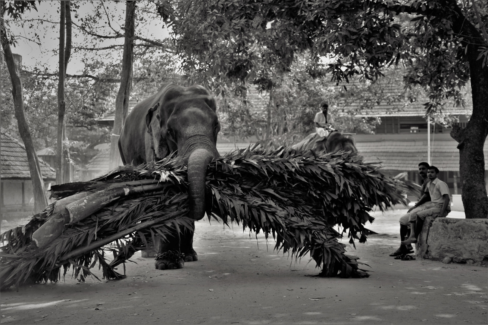 Elephant Temple