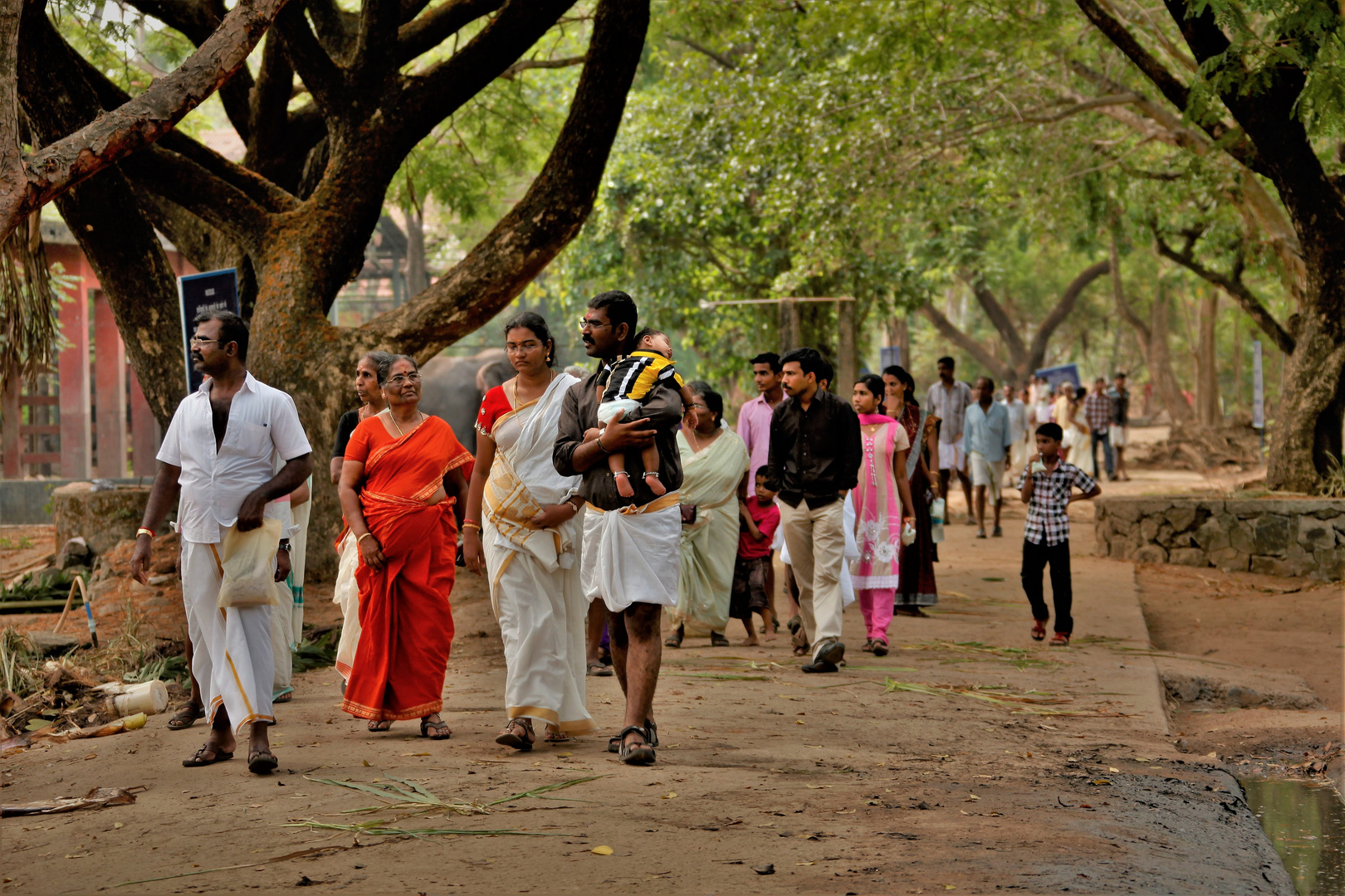 elephant temple pilgrims