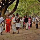 elephant temple pilgrims