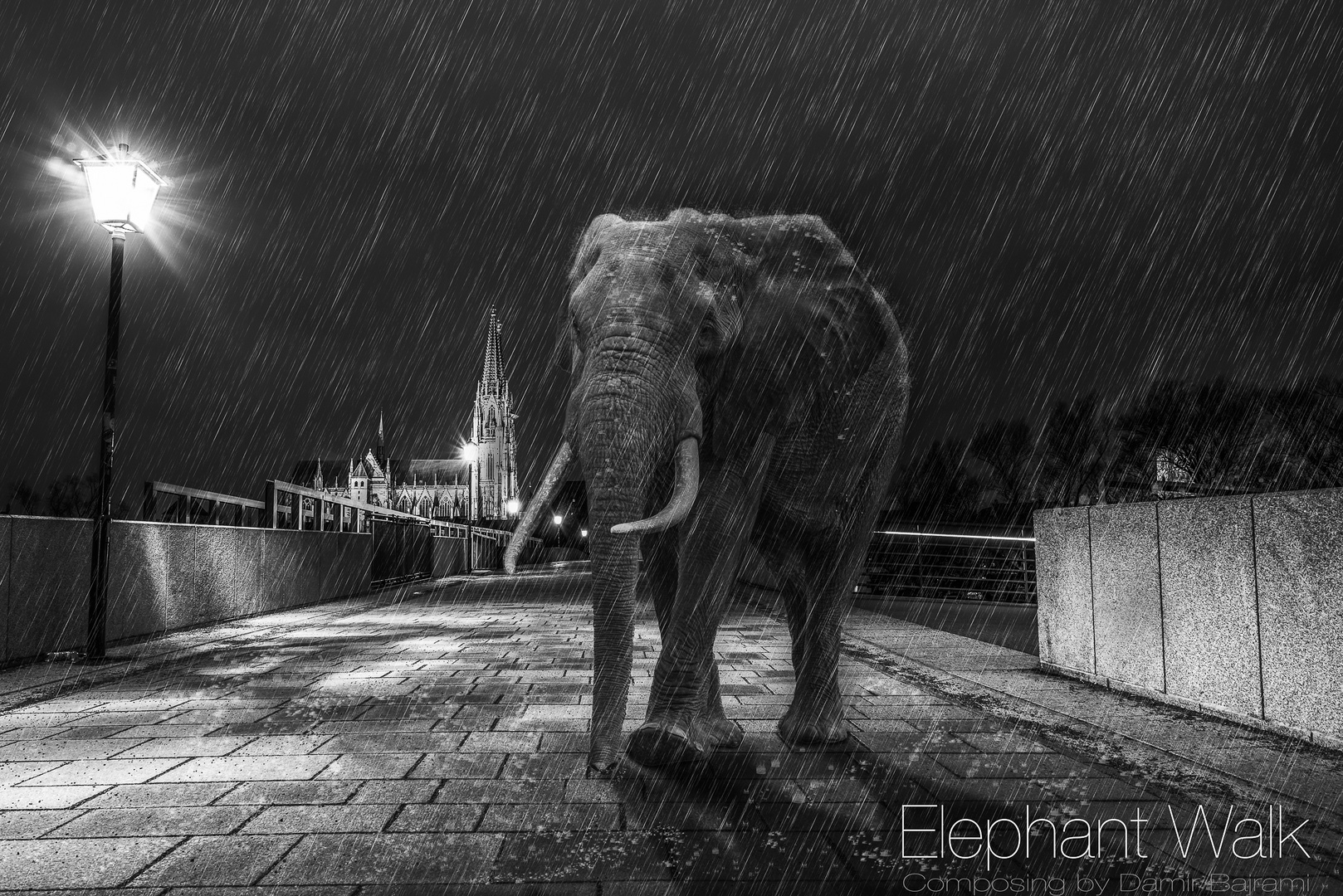 Elephant Walk