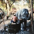 elephant washing Thailand