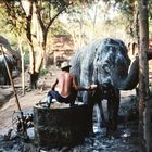 elephant washing Thailand