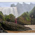 elephant waterfall