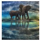 Elephanten Himmel ;-)