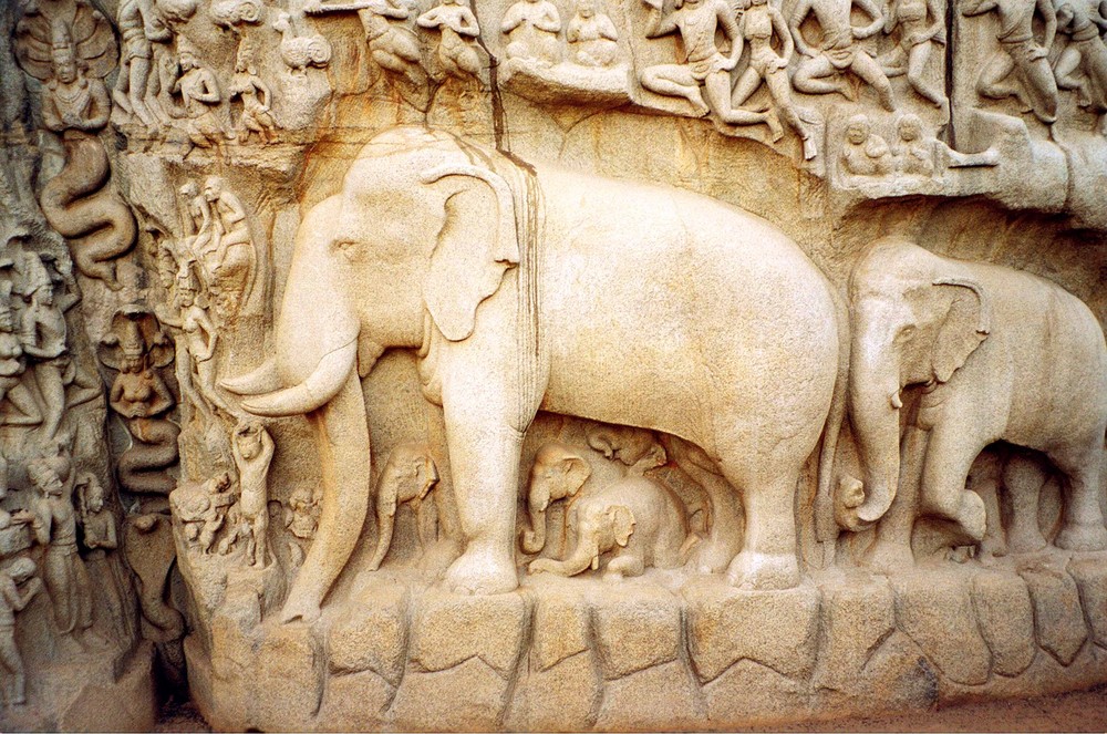 Elephantenwand(Indien)