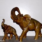 Elephants