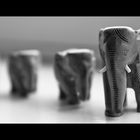 Elephants