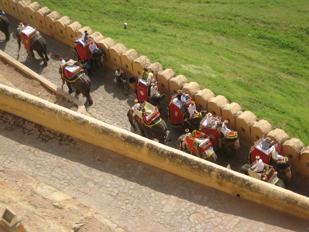 Elephants in Jaipur