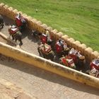 Elephants in Jaipur