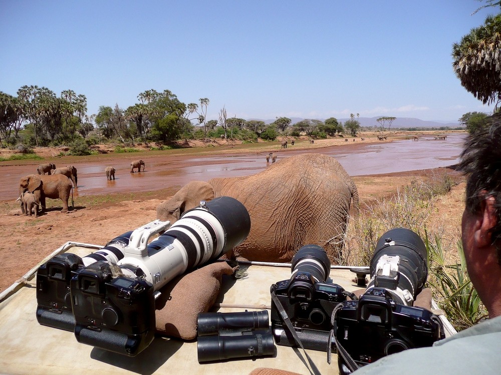 Eléphants - Samburu / Kenya - Armés comme un porte-avions ! L'envers du décor ...