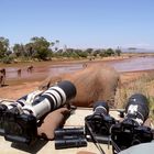 Eléphants - Samburu / Kenya - Armés comme un porte-avions ! L'envers du décor ...