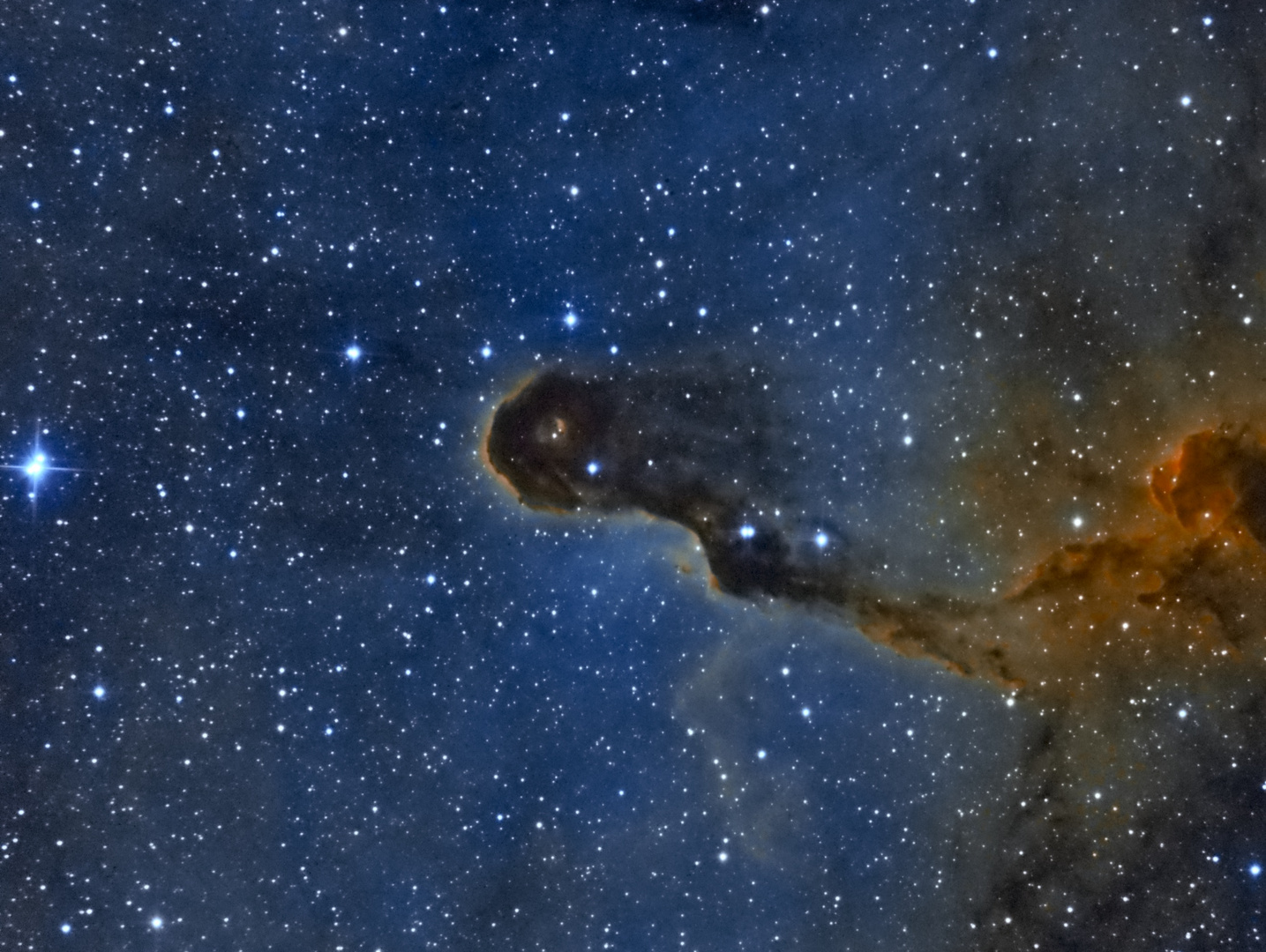 Elephant's Trunk Nebula vdB142