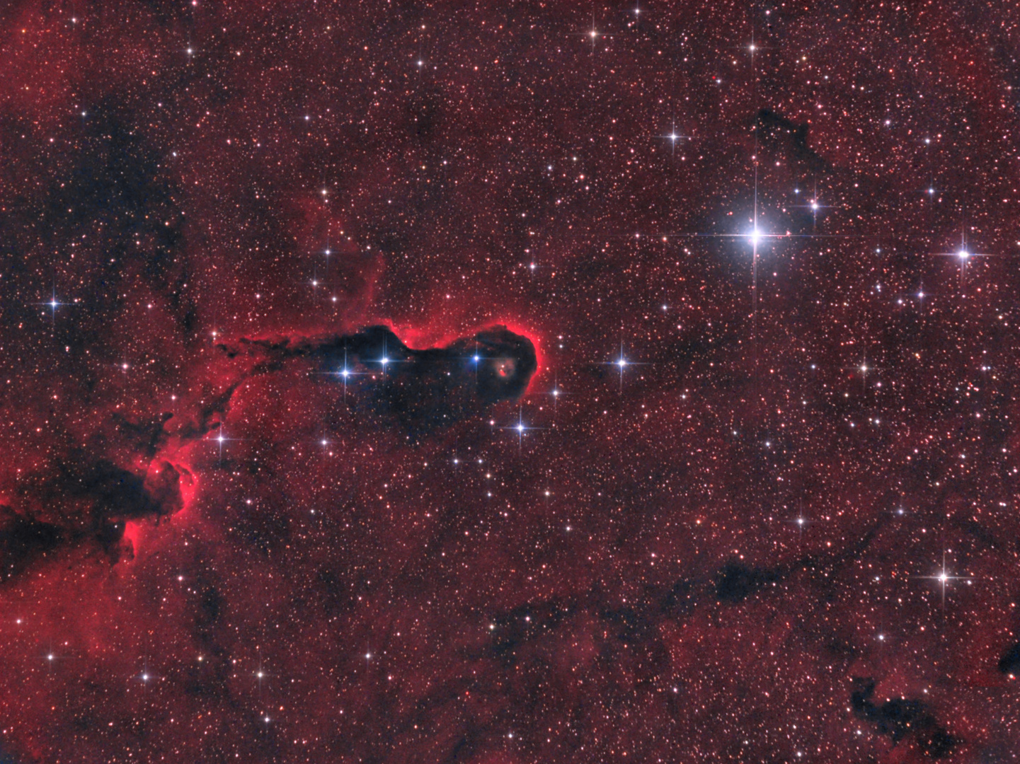 ElephantsTrunk in IC1396