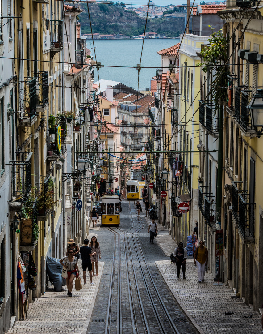 ELEVADOR