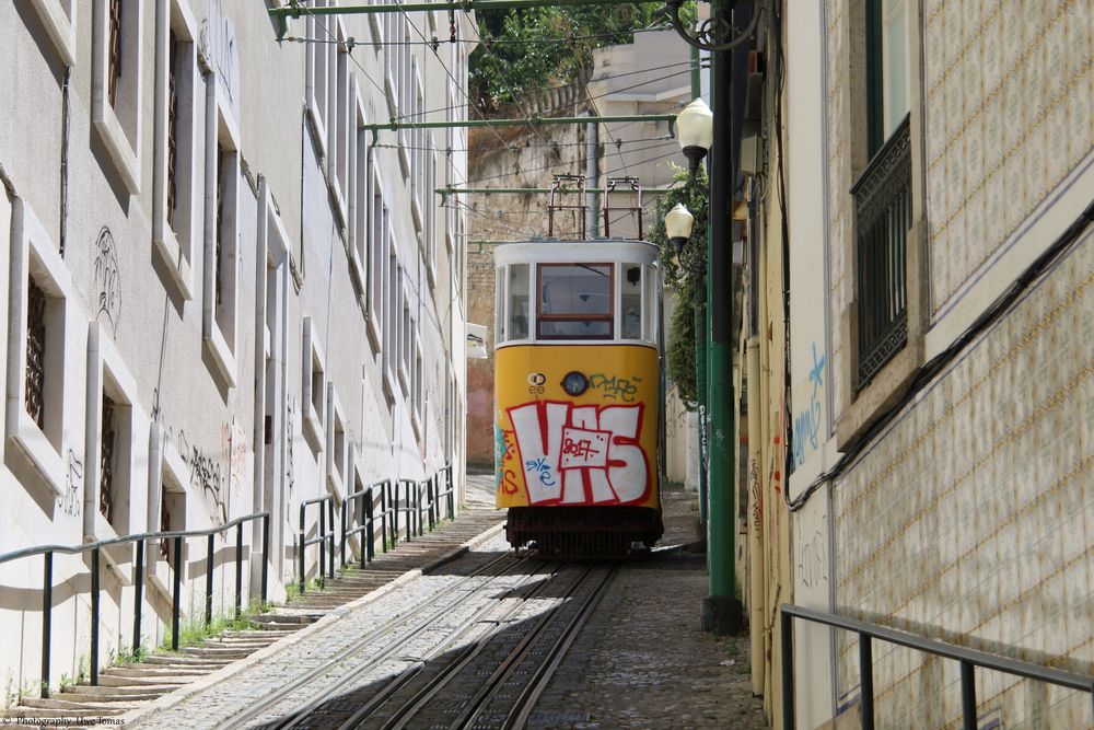 Elevador C.do Lavra, 