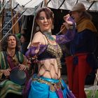 elf fantasy fair - 2011 - haarzuilens utrecht (11)