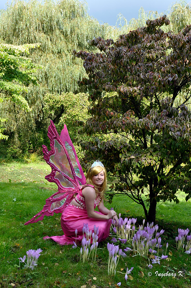 Elf Fantasy Fair in Arcen - 4