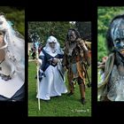 Elf Fantasy Fair in Arcen - 49