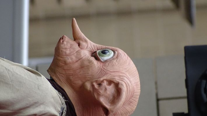 ELF IN HARRY POTTER WORLD