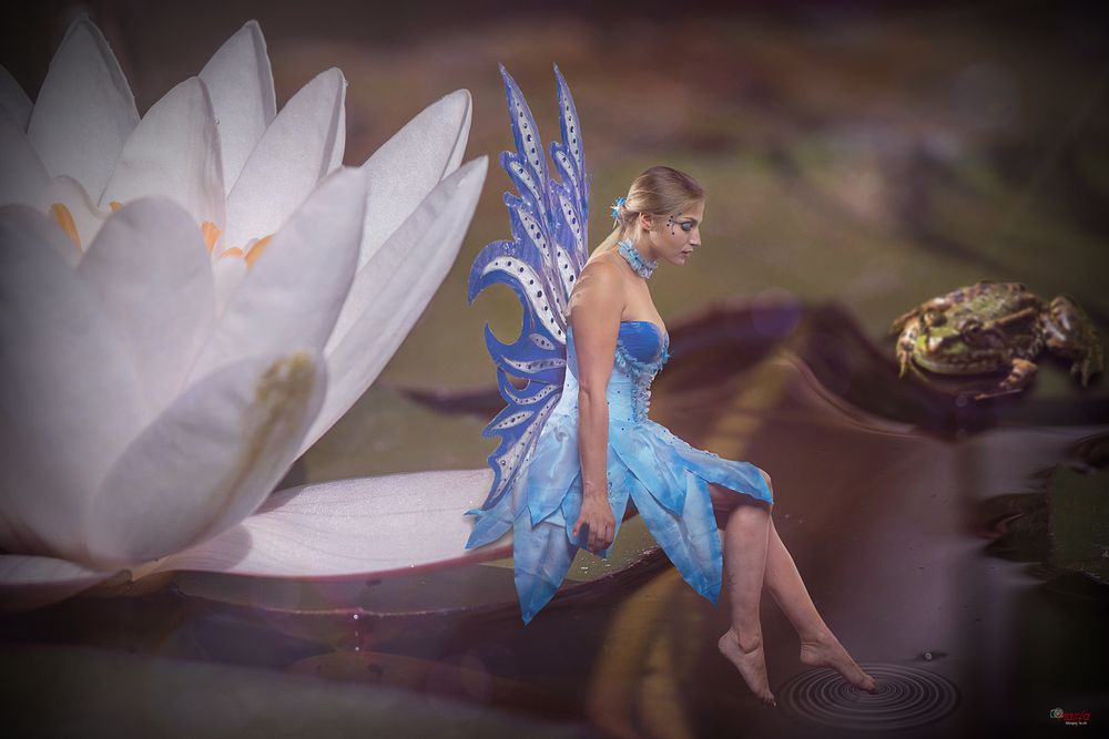 Elfe Foto & Bild | menschen Bilder auf fotocommunity