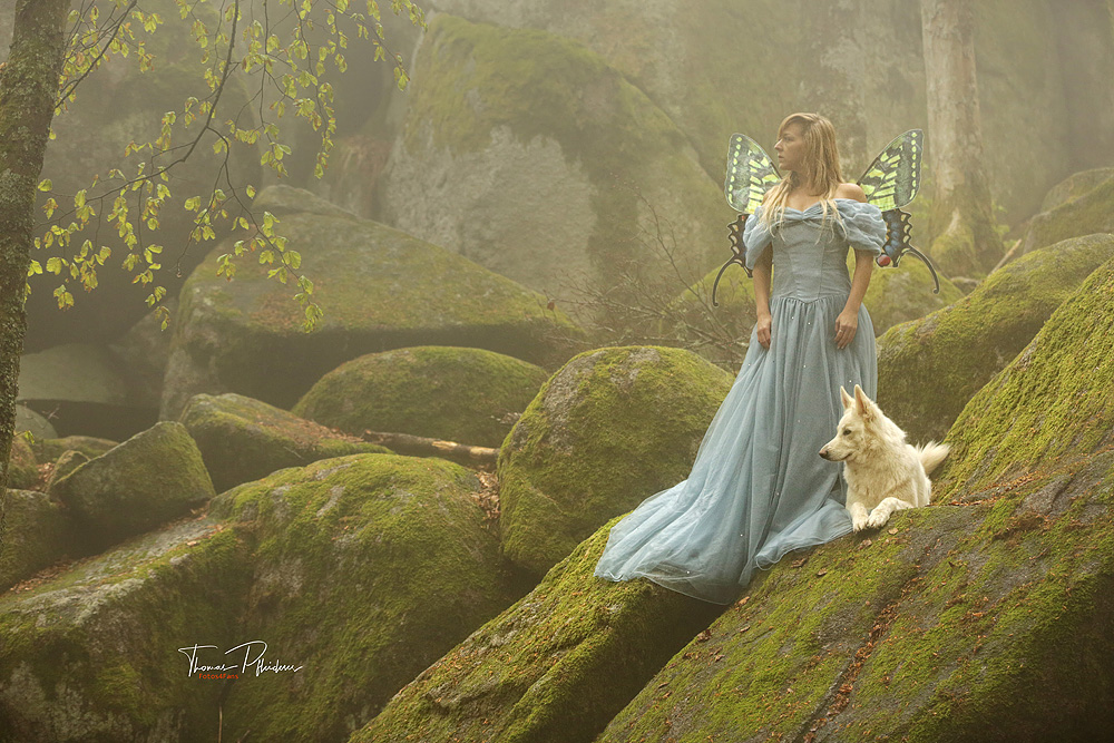 Elfe im Wald Foto & Bild szene, fantasy, menschen Bilder auf