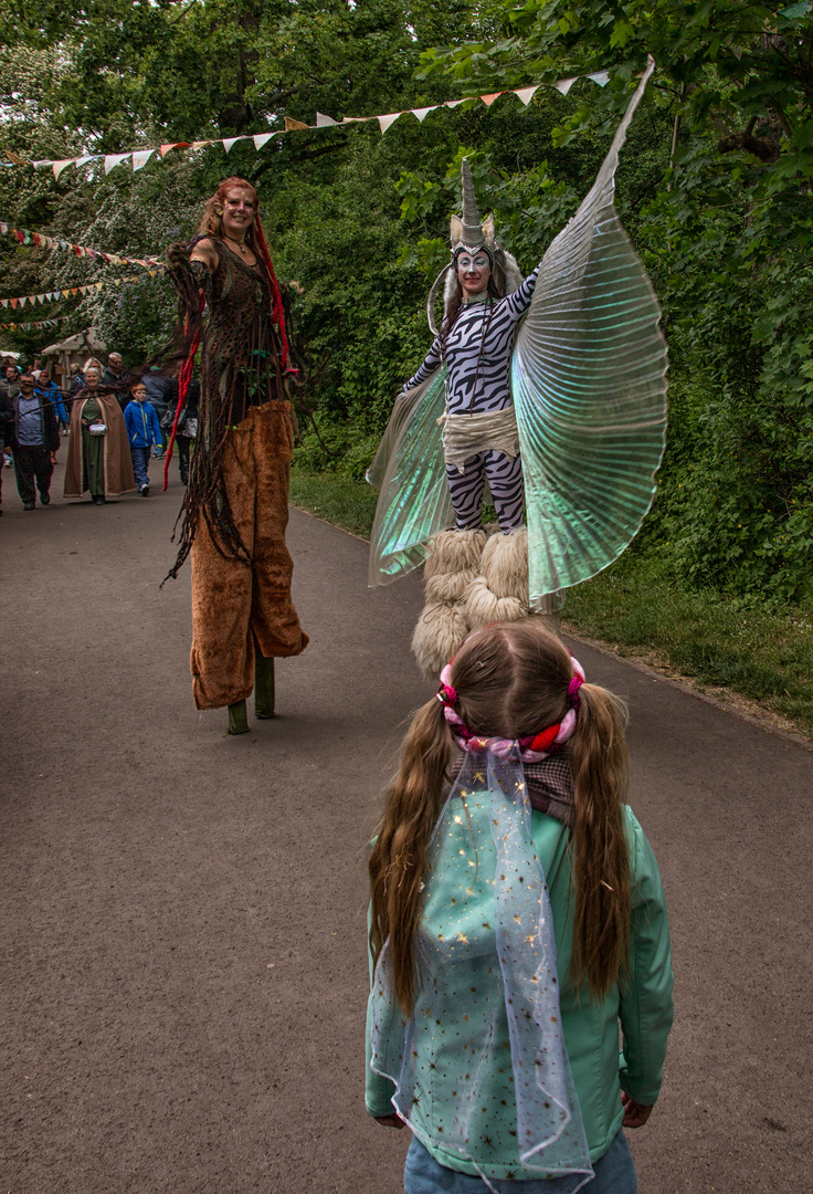 Elfen... Foto & Bild | magdeburg, outdoor, menschen Bilder auf