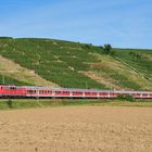 Elfen im Neckertal 