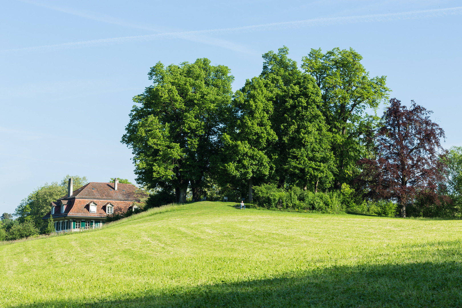 Elfenau - Englischer Landschaftspark I