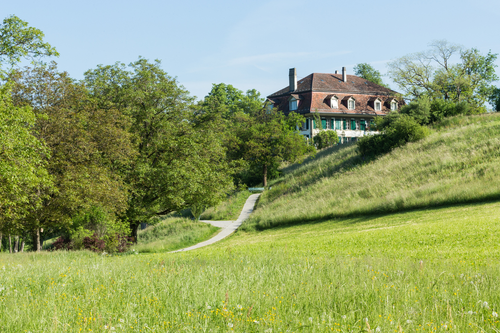 Elfenau - Englischer Landschaftspark II