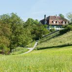 Elfenau - Englischer Landschaftspark II