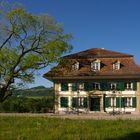 Elfenau mit Sophora