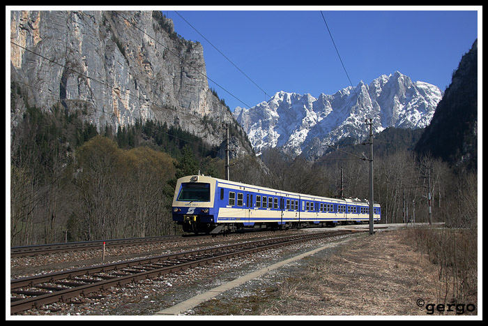 Elfenbein im Nationalpark