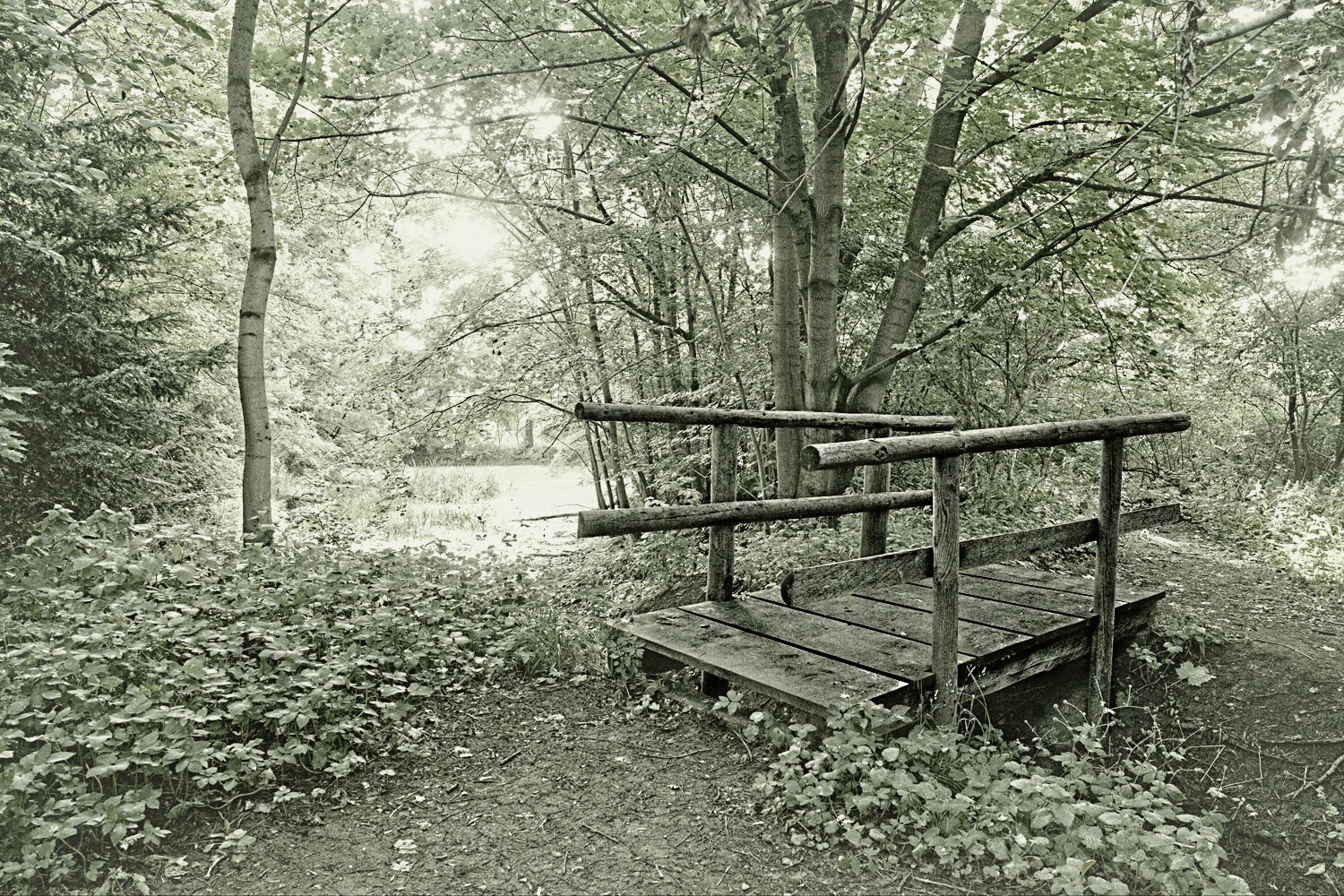 Elfenbrücke am Waldteich