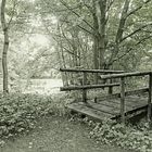 Elfenbrücke am Waldteich