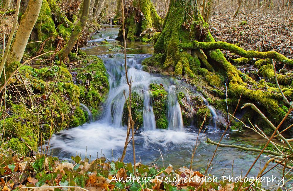 Elfengrund in Wanfried / Hessen