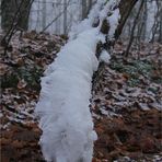 Elfenhaar oder Engelshaar