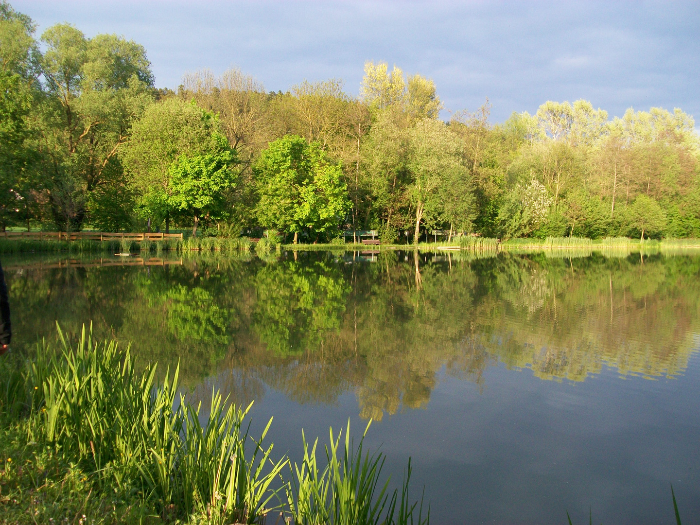 Elfensee