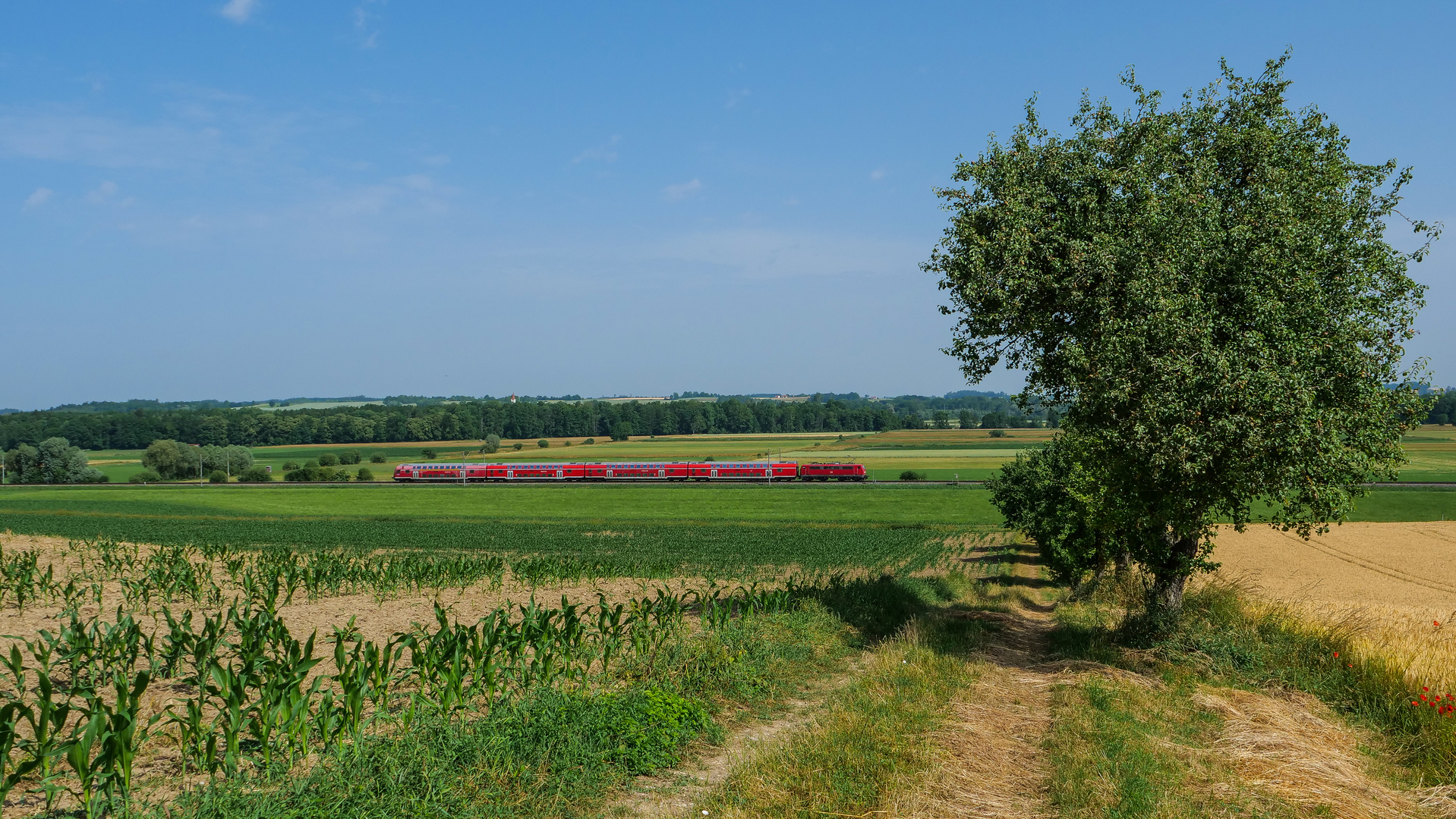 Elfer nach links