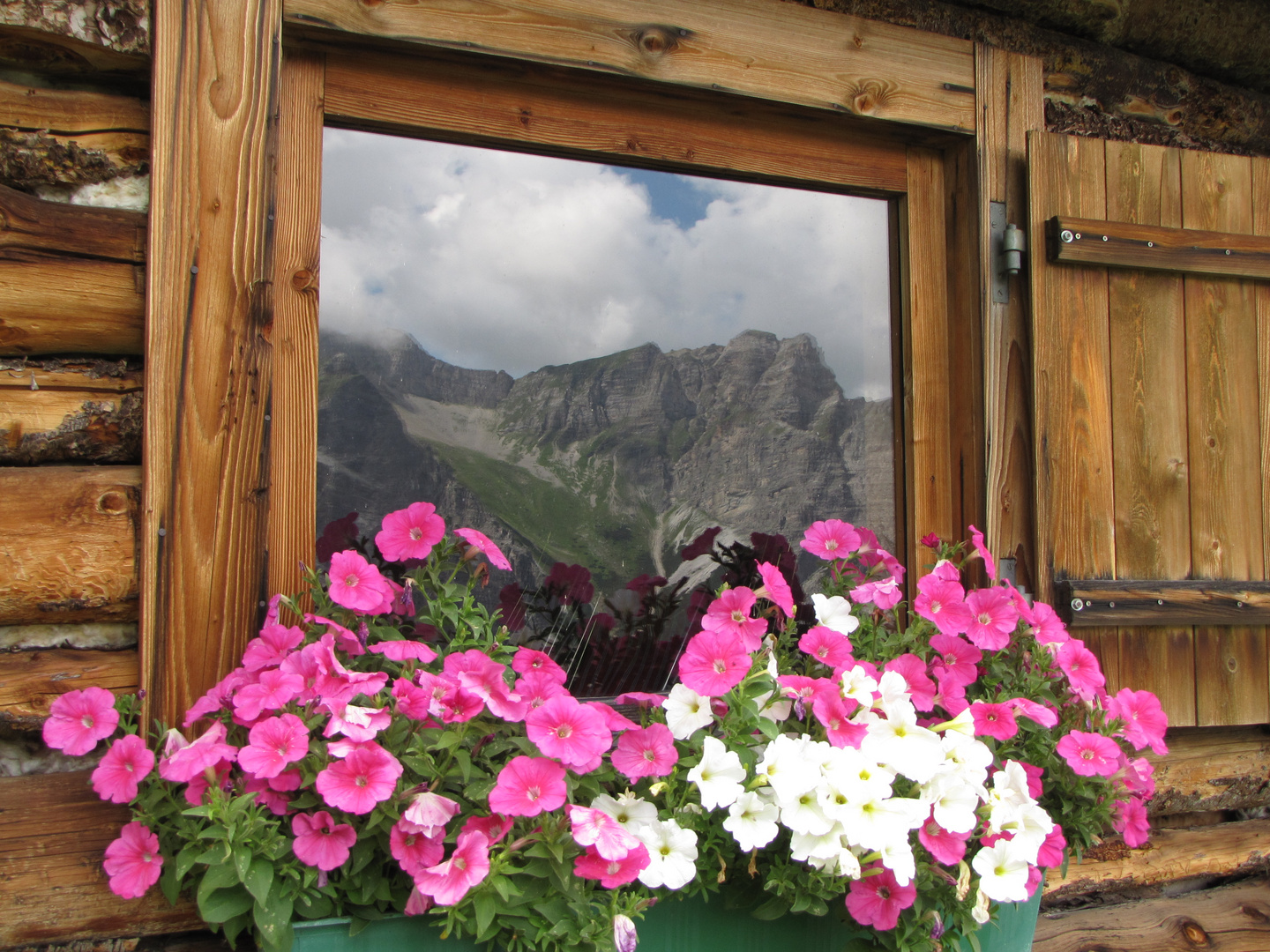 Elferhütte mit Ausblick nach Innen