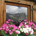 Elferhütte mit Ausblick nach Innen